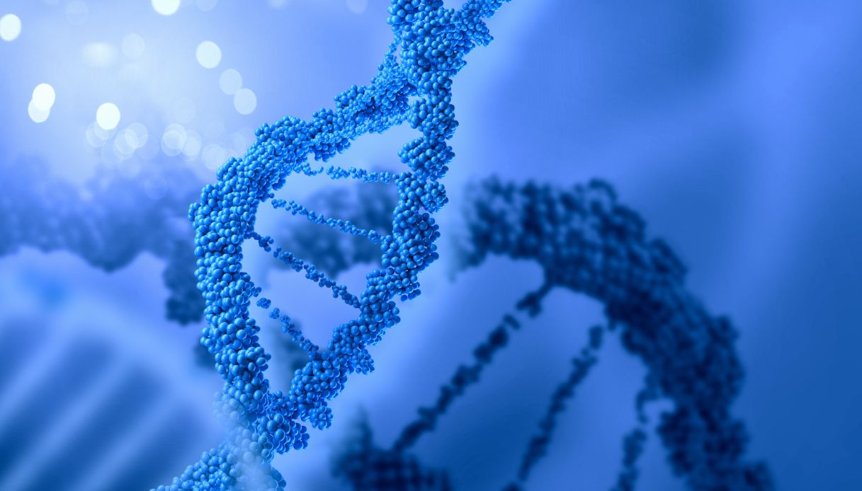 https://wips.plug.it/cips/notizie.virgilio.it/cms/2025/07/mutazione-genetica.jpg