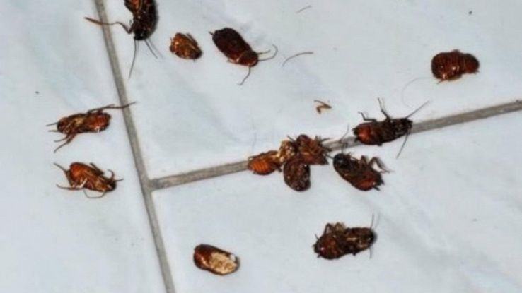 Michelly ruiva i got better than I deserved Friday