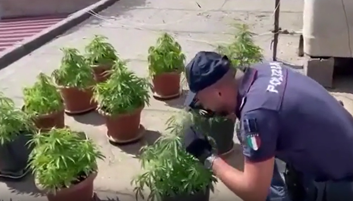 terrazza trasformata in una serra di droga a biancavilla il video del blitz