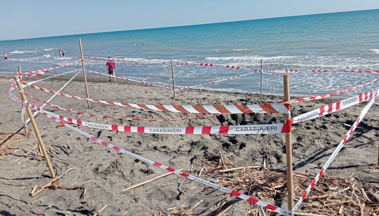 Riccardo Boni morto nella buca in spiaggia a Montalto di Castro, padre indagato per omicidio: "Disumano" Riccardo Boni morto nella buca in spiaggia a Montalto di Castro, padre indagato per omicidio: "Disumano"
