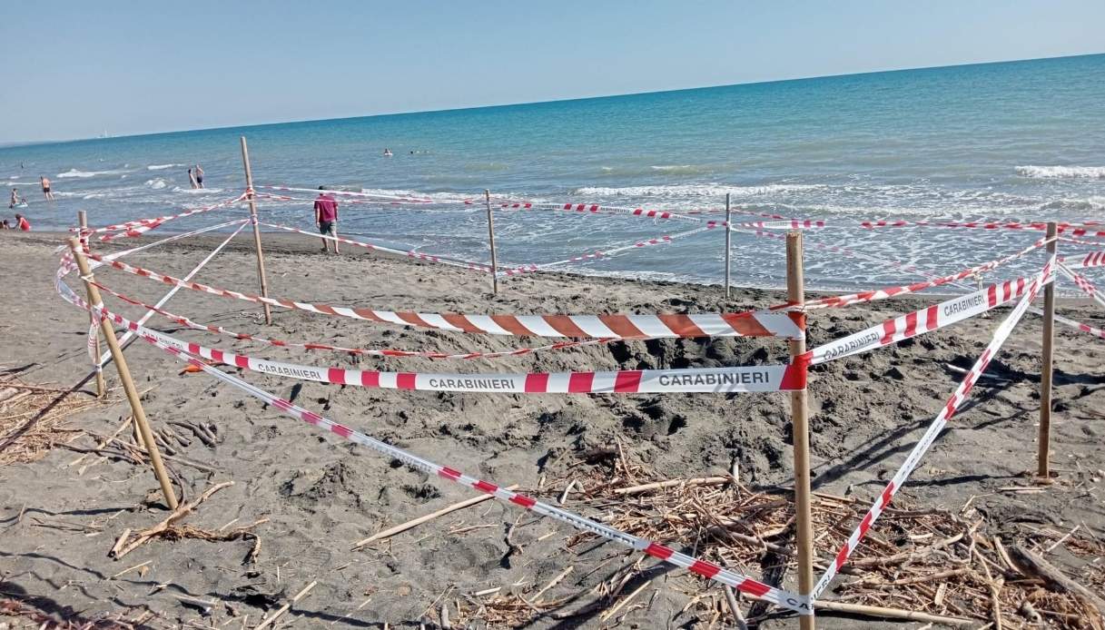 https://wips.plug.it/cips/notizie.virgilio.it/cms/2025/07/spiaggia-montalto-di-castro.jpg