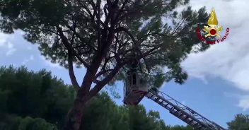 video_bc6375298294112.jpg