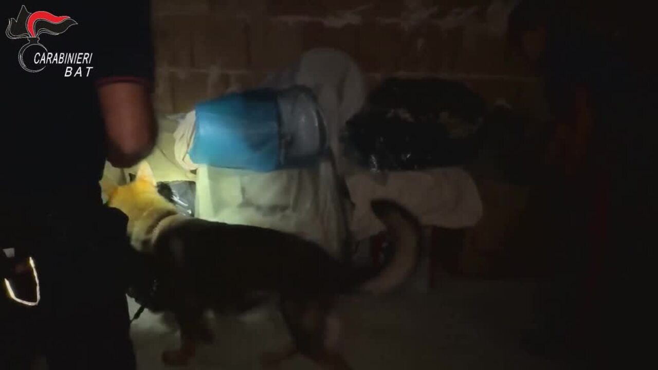 https://wips.plug.it/cips/notizie.virgilio.it/cms/2025/07/video_bc6376361863112.jpg