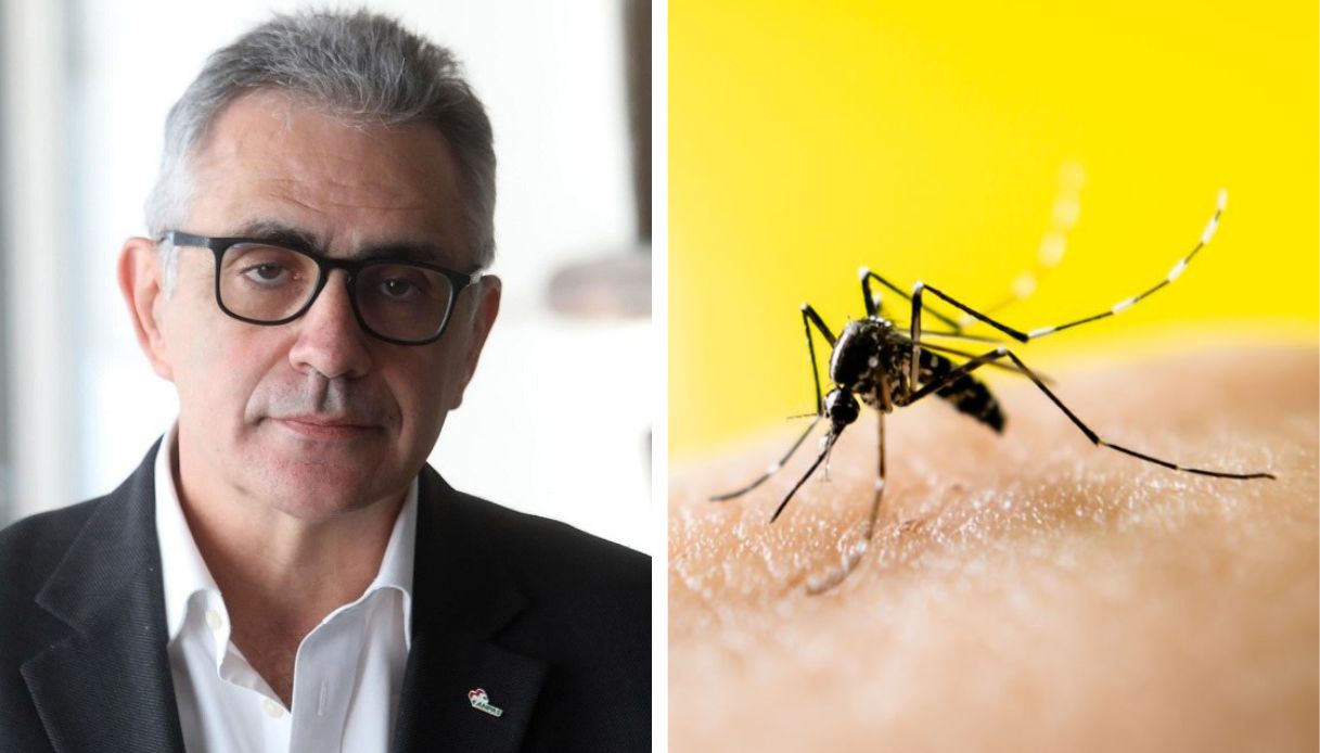 https://wips.plug.it/cips/notizie.virgilio.it/cms/2025/07/virus-west-nile-zanzare-pregliasco.jpg