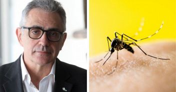 virus-west-nile-zanzare-pregliasco