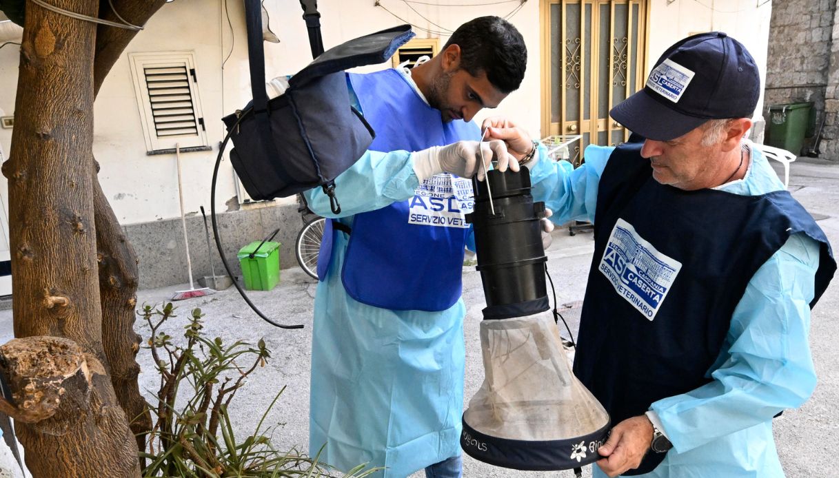West Nile monitoraggio zanzare