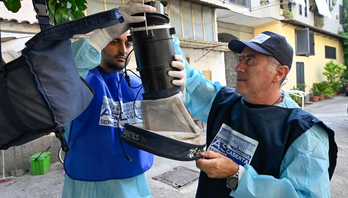 Monitoraggio West Nile in Campania