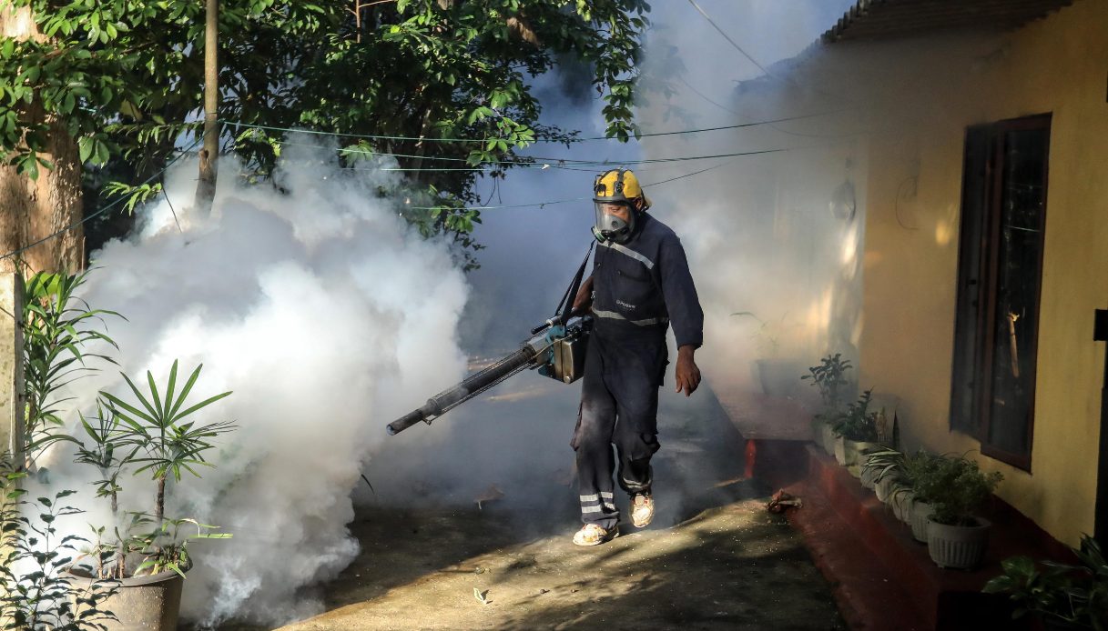 Virus Chikungunya, paura in Cina per gli oltre 7 mila casi mentre in Veneto si registra il primo autoctono