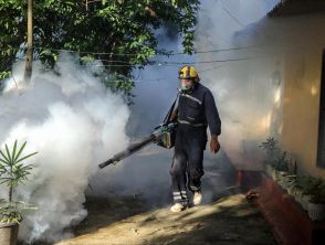 Virus Chikungunya, paura in Cina per gli oltre 7 mila casi mentre in Veneto ci sono i primi due autoctoni