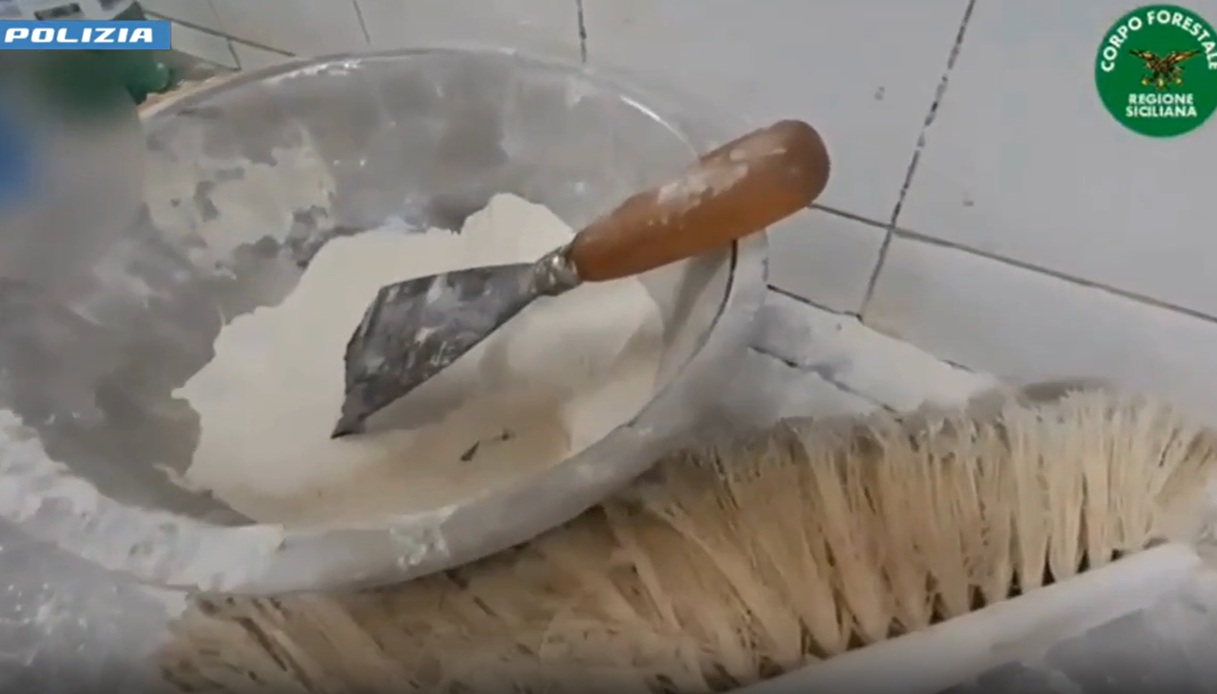 blatte in laboratorio e alimenti non tracciati a catania il video distrutti kg di cibo e maxi multe
