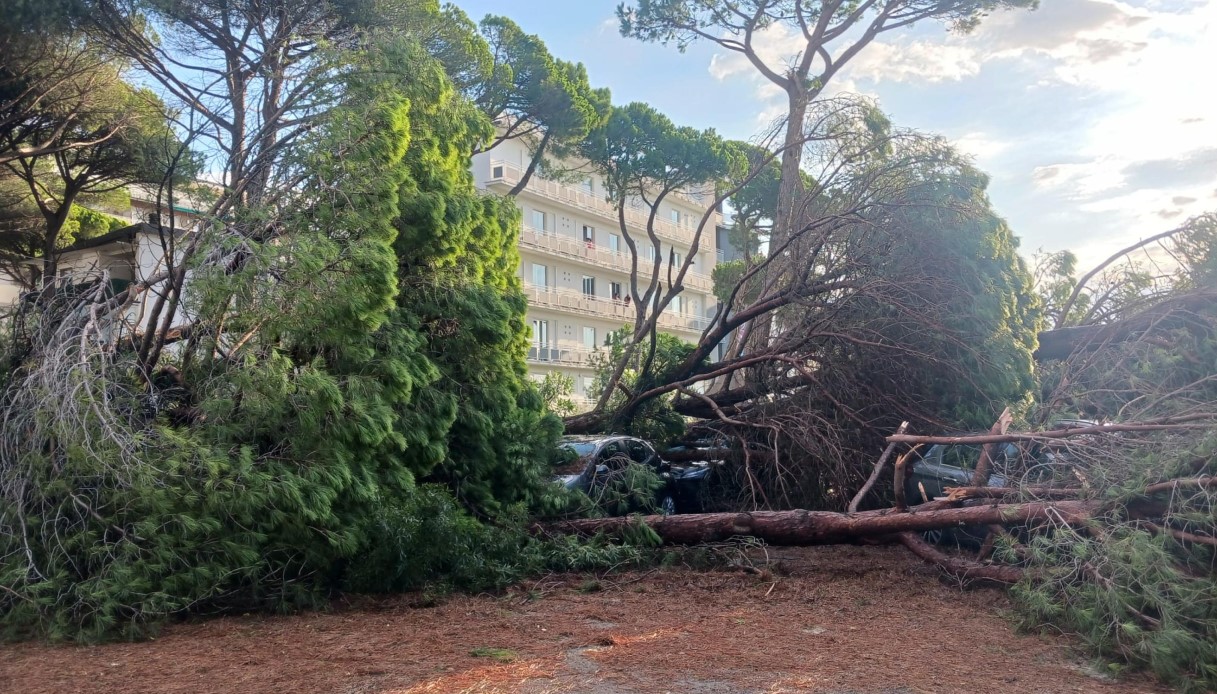 Le immagini del maltempo in Romagna, allagamenti e alberi abbattuti a Rimini, Cervia e Milano Marittima Le immagini del maltempo in Romagna, allagamenti e alberi abbattuti a Rimini, Cervia e Milano Marittima