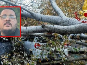 Albero crolla su un'auto con 4 ragazzi a Ferrandina vicino Matera, un morto e 3 feriti gravissimi
