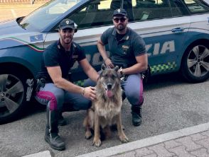 Pastore tedesco sordo salvato dalla polizia a Bologna, l'epilogo emozionante