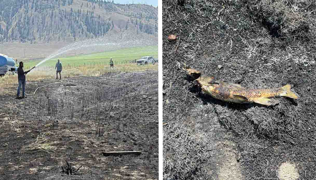 https://wips.plug.it/cips/notizie.virgilio.it/cms/2025/08/pesce-incendio-ashcroft-canada.jpg