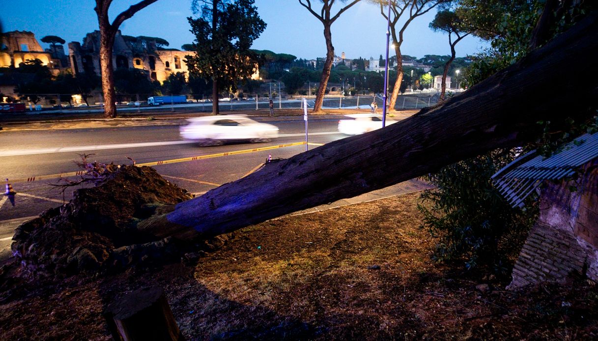 https://wips.plug.it/cips/notizie.virgilio.it/cms/2025/08/roma-nubifragio-temporale.jpg