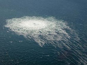 Chi è Serhii K accusato del sabotaggio del gasdotto Nord Stream e arrestato in Italia