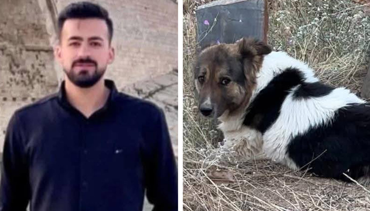 https://wips.plug.it/cips/notizie.virgilio.it/cms/2025/08/studente-morto-turchia-cane.jpg
