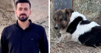 studente morto turchia cane