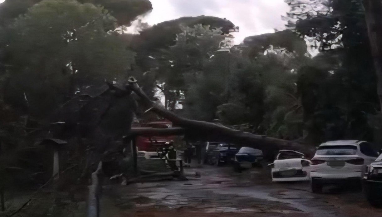 Forte temporale sulla Romagna, a Rimini e Ravenna strade allagate, grandine e alberi abbattuti