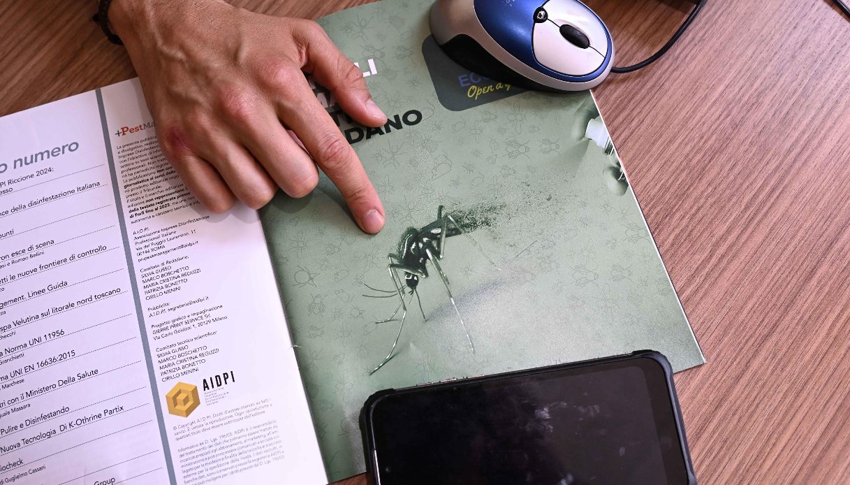 https://wips.plug.it/cips/notizie.virgilio.it/cms/2025/08/west-nile-italia.jpg
