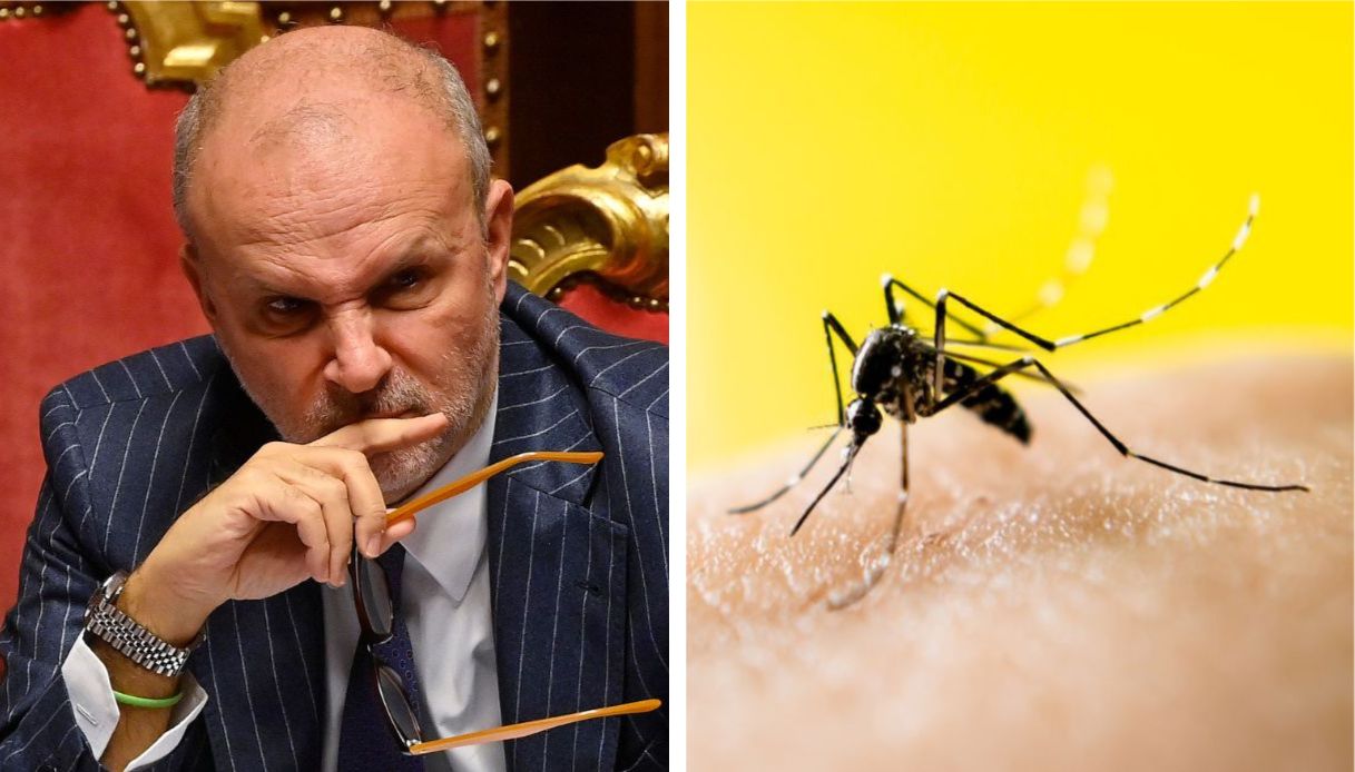 https://wips.plug.it/cips/notizie.virgilio.it/cms/2025/08/west-nile-morti-schillaci.jpg
