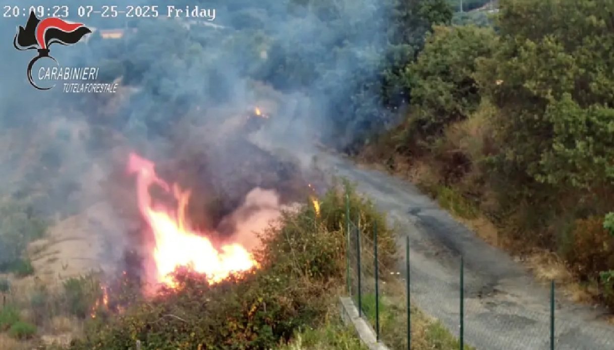 Vasto incendio ad Acri vicino Cosenza, così è stato incastrato il piromane