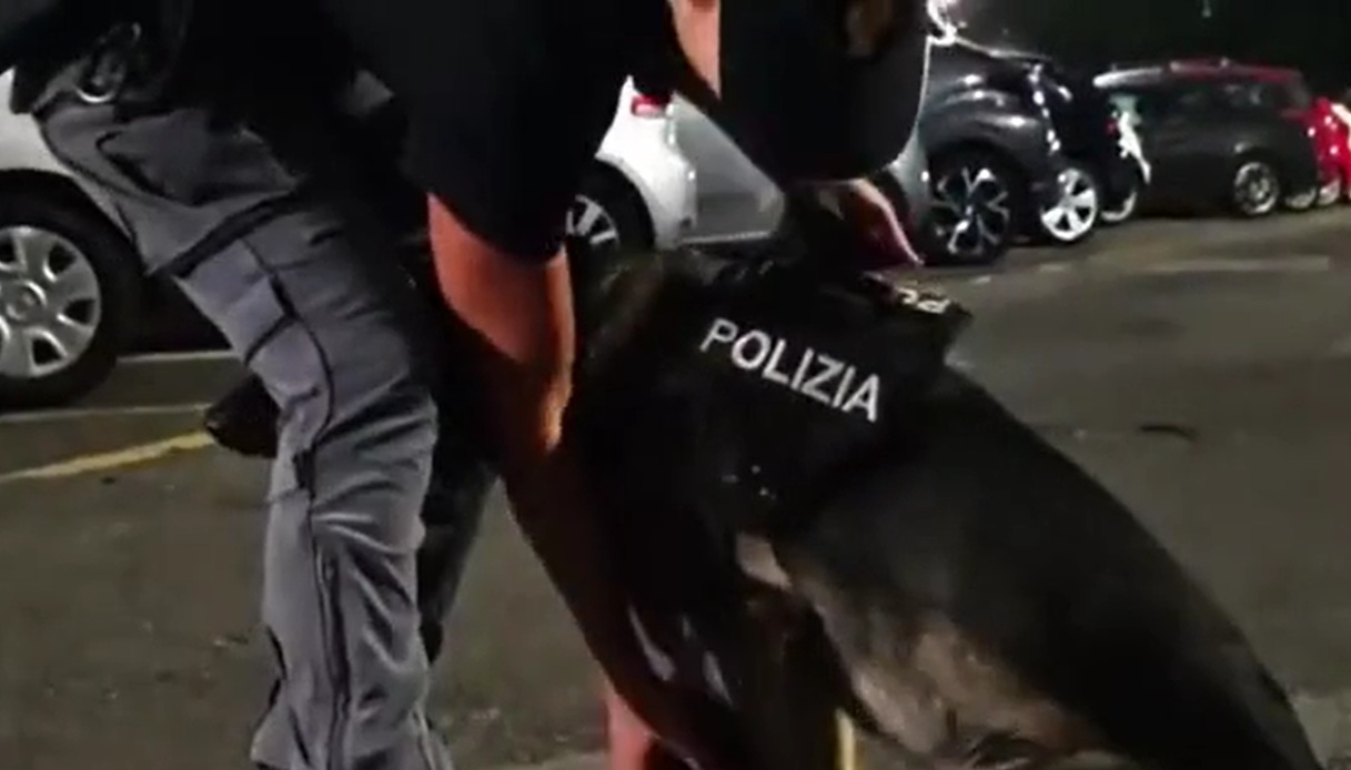 Il video del maxi blitz antidroga a Roma: arresti, feriti e sostanze spacciate in scatole di caramelle