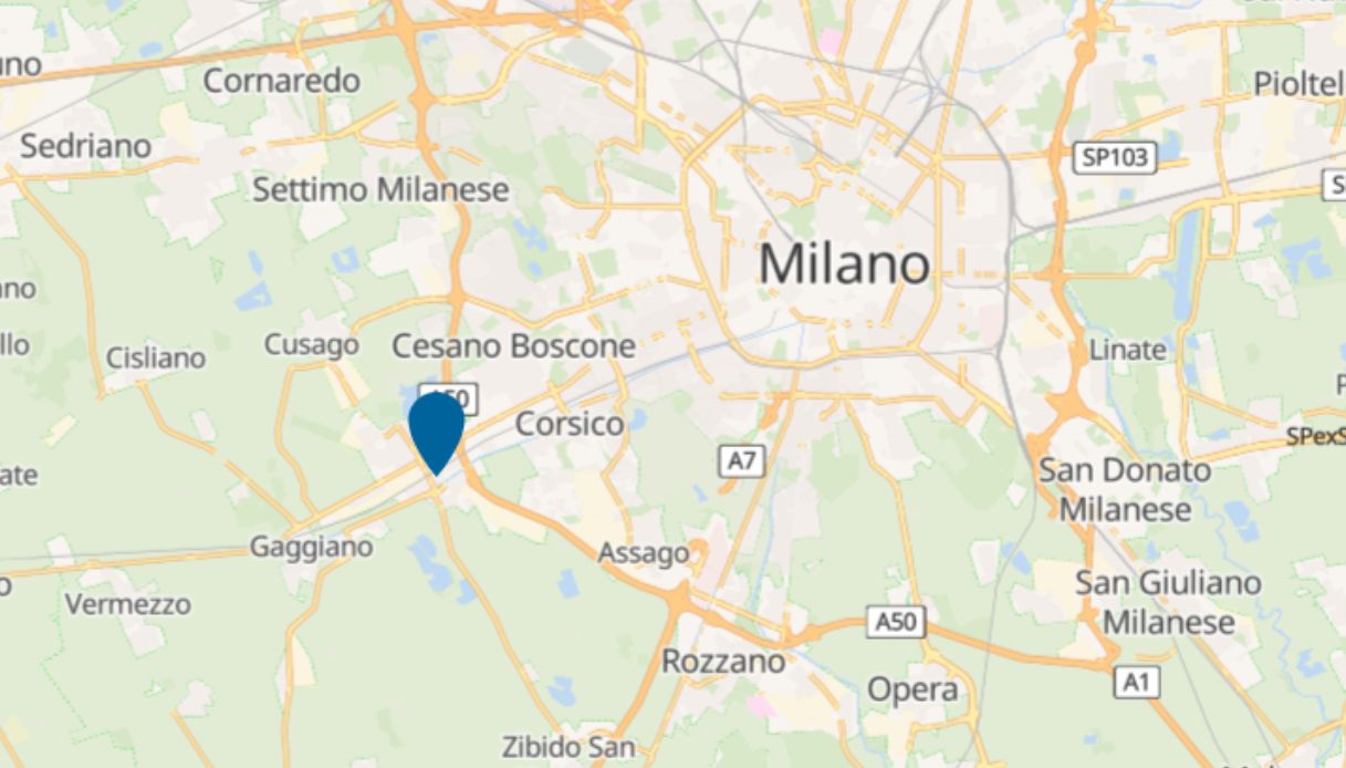 trezzano sul naviglio case affitto