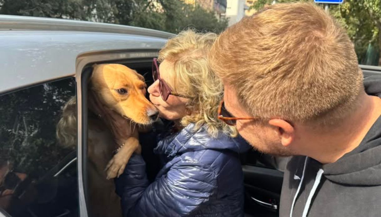 Antonina Balsamo costretta a dormire in auto a Palermo col cane, è vedova ha una pensione di 614 euro Antonina Balsamo costretta a dormire in auto a Palermo col cane, è vedova ha una pensione di 614 euro