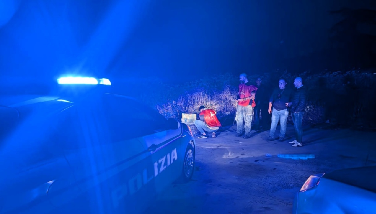 Scoperto bracconaggio ad Aversa con tecnica crudele, utilizzate femmine di Cardellino: blitz e denuncia Scoperto bracconaggio ad Aversa con tecnica crudele, utilizzate femmine di Cardellino: blitz e denuncia