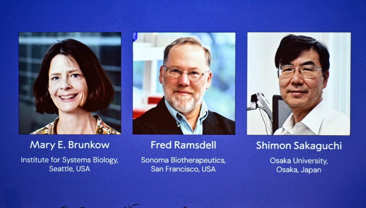 https://wips.plug.it/cips/notizie.virgilio.it/cms/2025/10/nobel-medicina-2025-security-sistema-immunitario-scoperta-vincitori.jpg