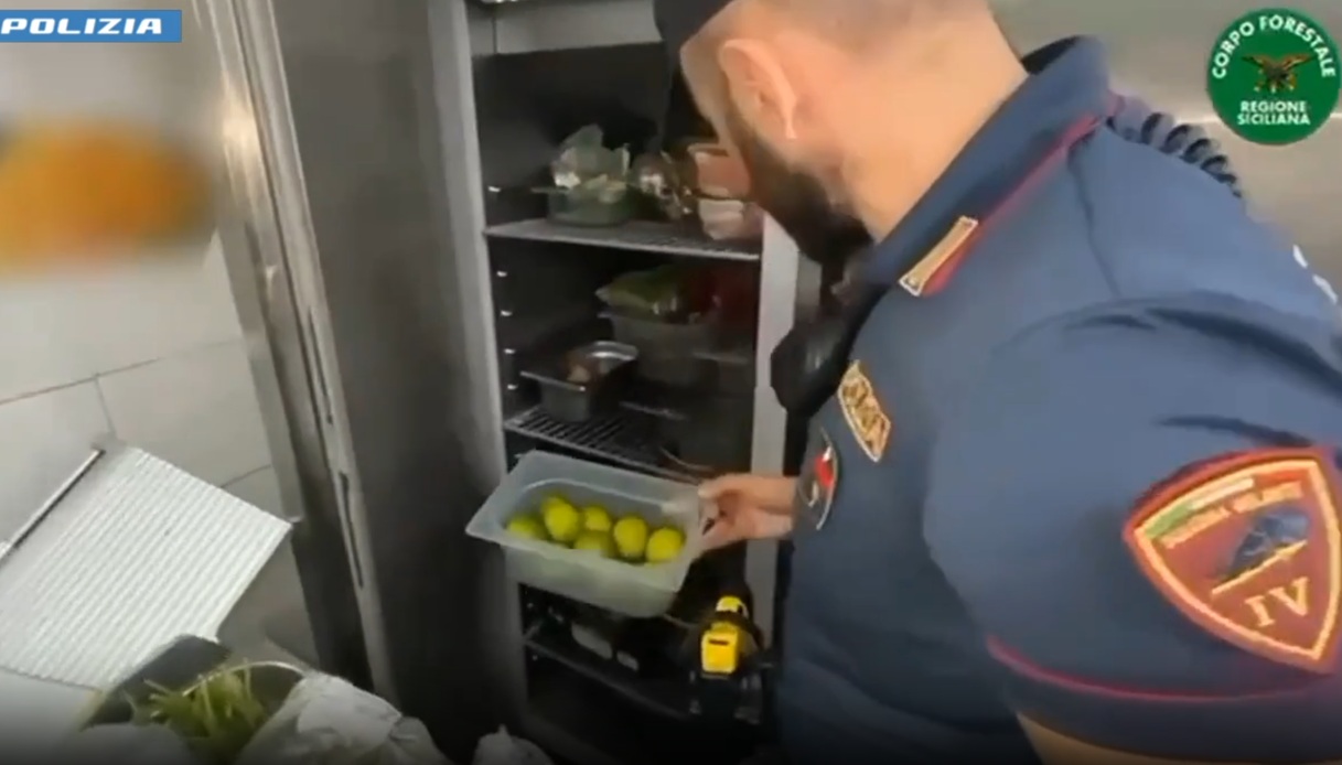 Catania, condizioni igieniche Catania, condizioni igieniche