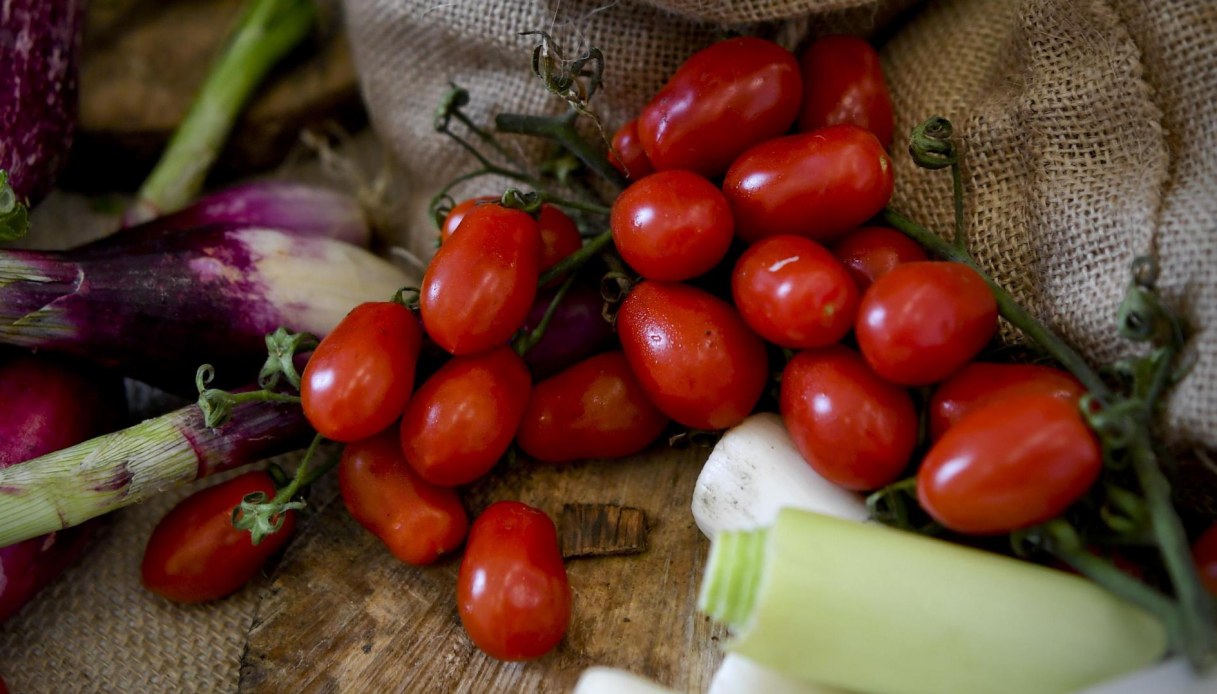 Pomodorini siciliani con salmonella in 17 Paesi Ue, dei 437 casi confermati ben 123 sono in Italia Pomodorini siciliani con salmonella in 17 Paesi Ue, dei 437 casi confermati ben 123 sono in Italia