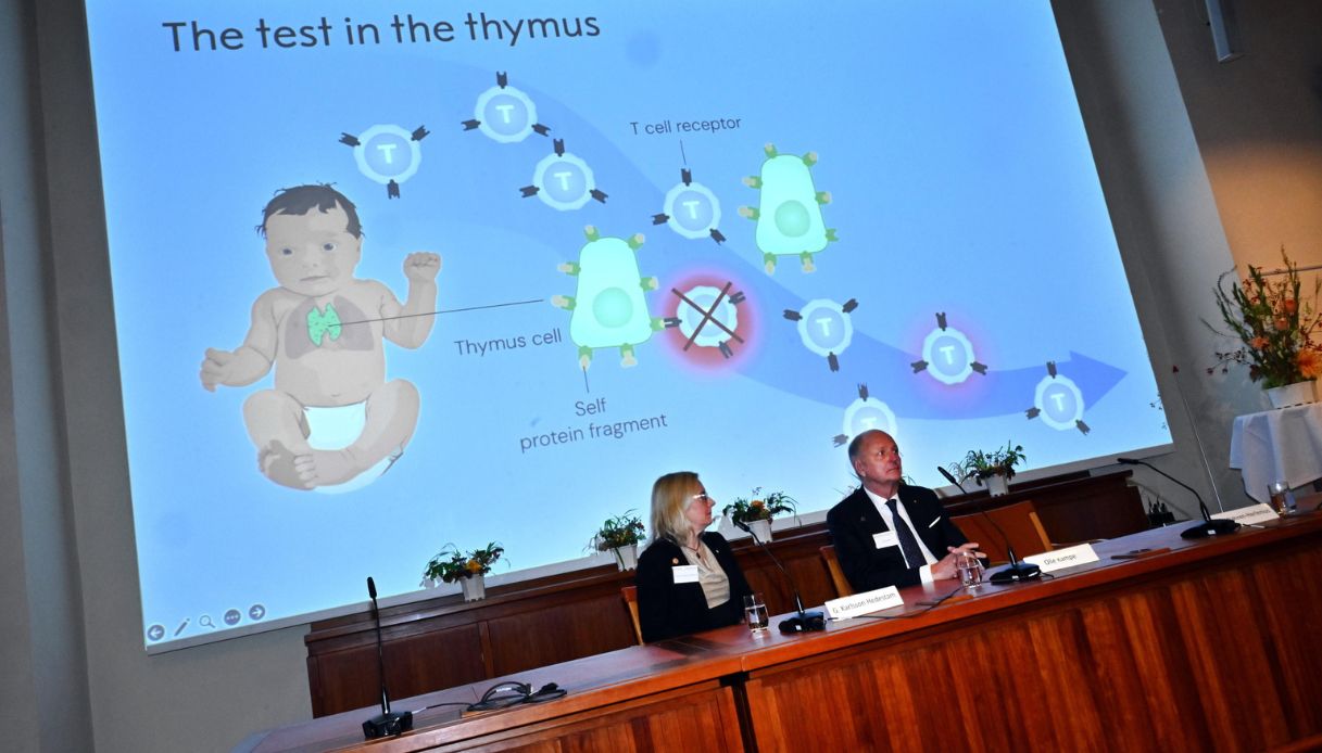 Nobel Medicina 2025 security sistema immunitario scoperta