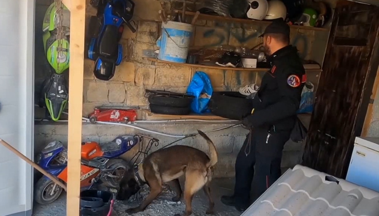 Traffico di droga a Ragusa, coinvolta anche una minore che ha meno di 14 anni: il video del blitz, 13 indagati Traffico di droga a Ragusa, coinvolta anche una minore che ha meno di 14 anni: il video del blitz, 13 indagati