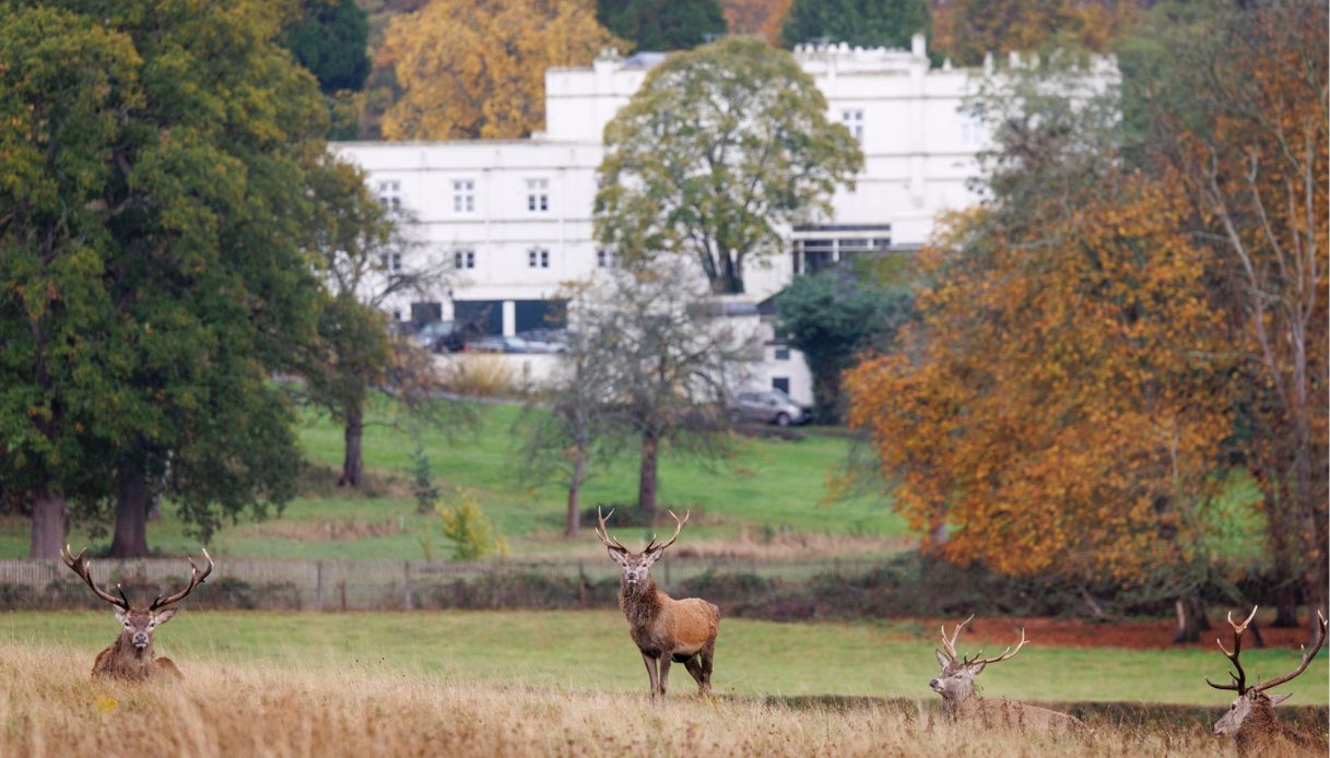 re carlo principe andrea sfratto