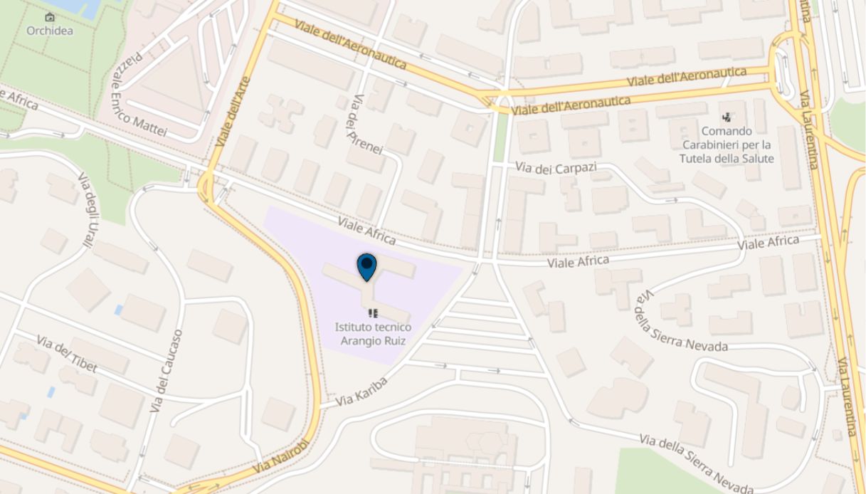 video studenti Istituto Ruiz Roma cori Duce saluti romani