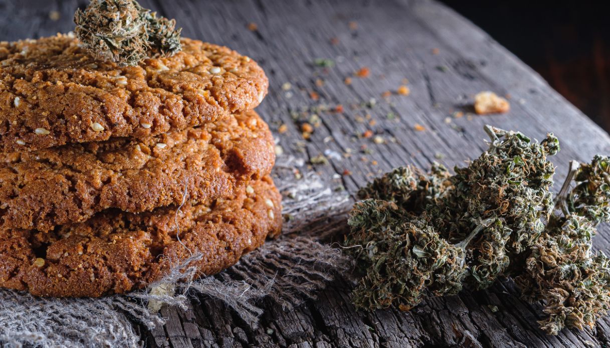 biscotti cannabis