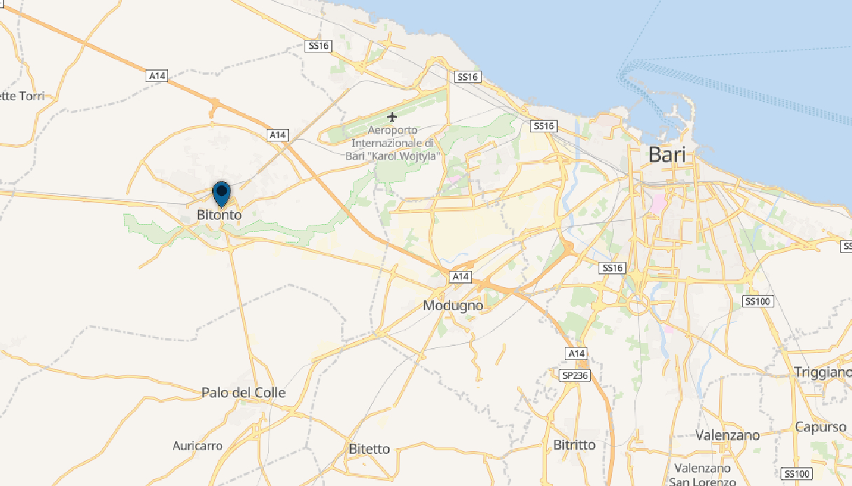 Anziana investita e uccisa a Bitonto, l&rsquo;automobilista fugge e poi si consegna. Diciottenne falciata a Bologna