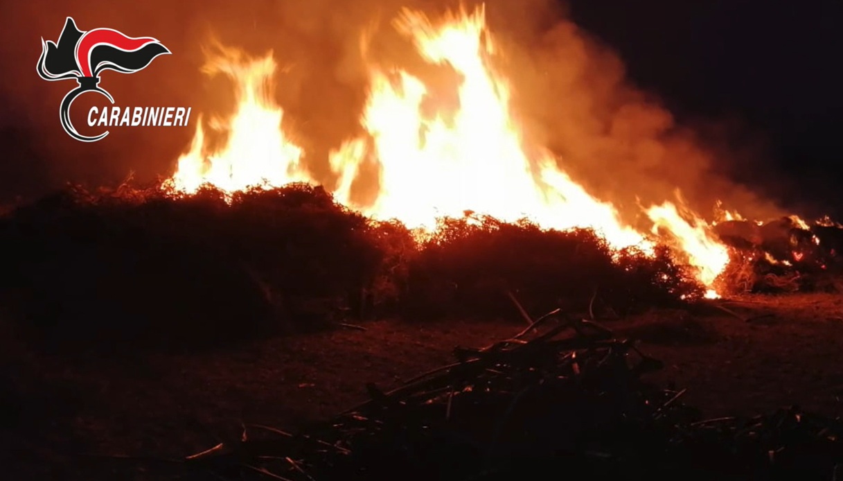 Video dell Video dell