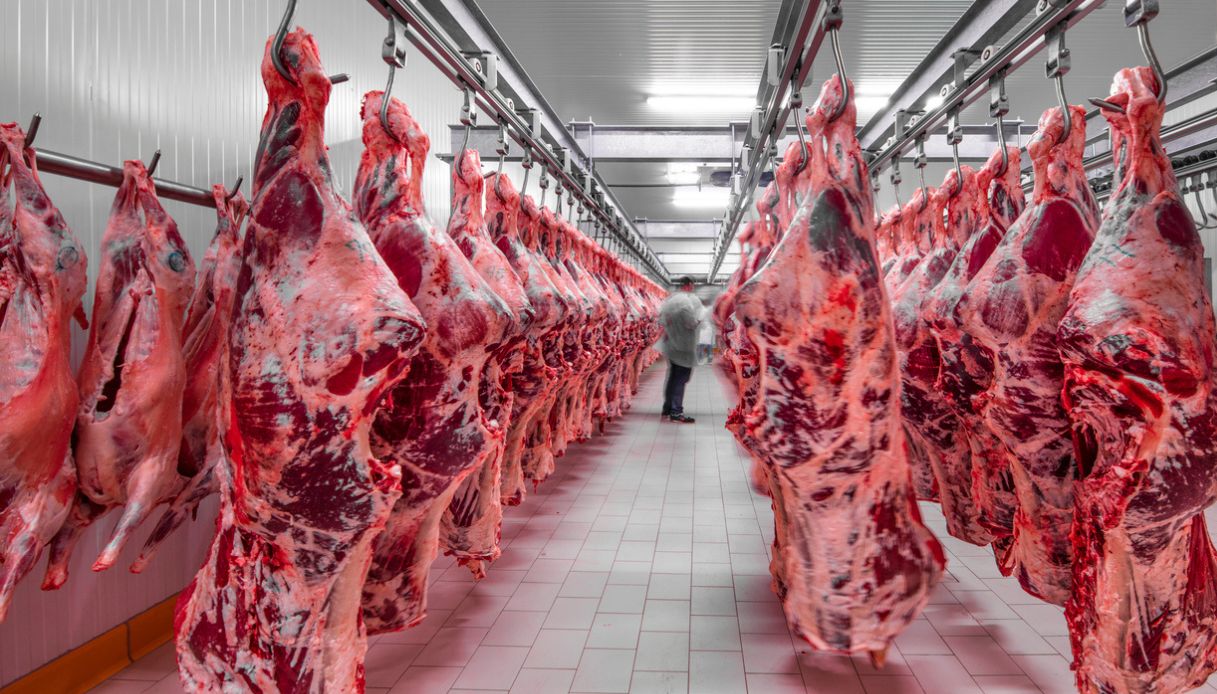 Carne scaduta e rimessa in vendita al centro di un