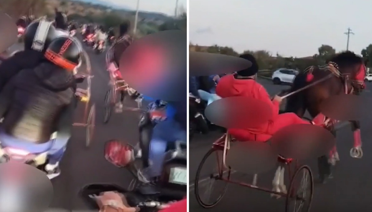 Il video della folle corsa clandestina di cavalli alle Il video della folle corsa clandestina di cavalli alle