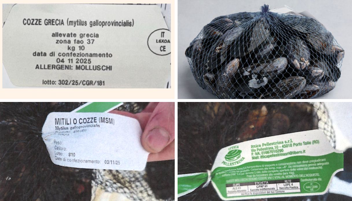 cozze ritirate Escherichia coli