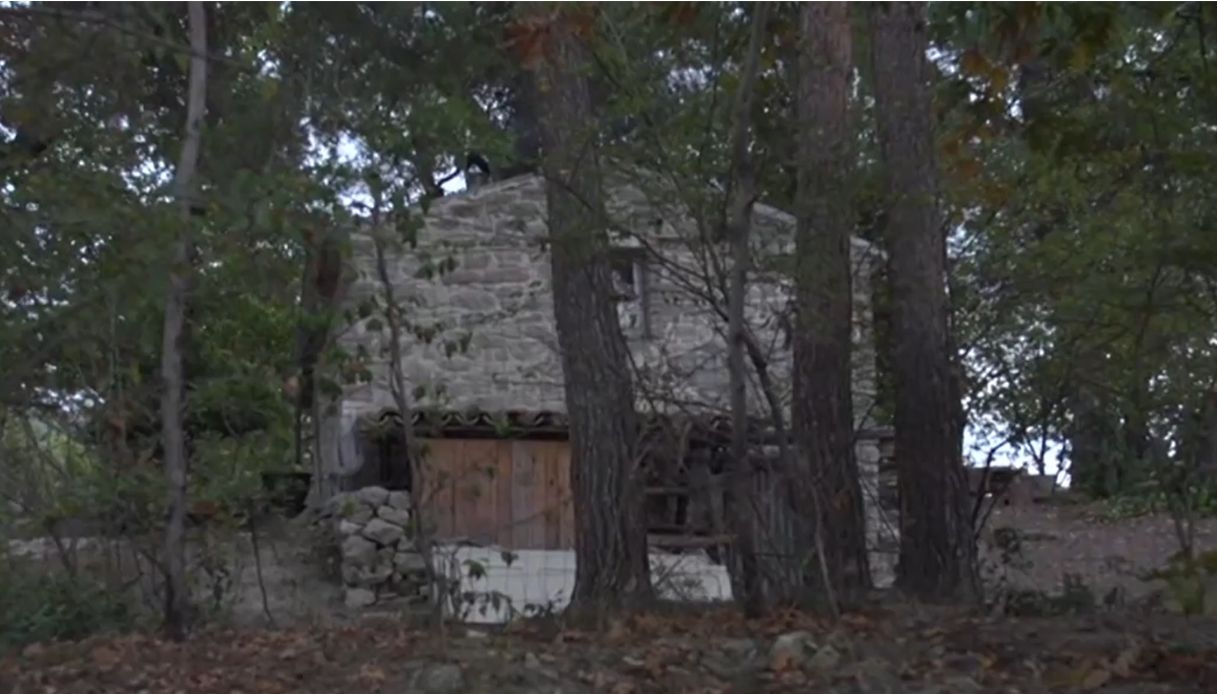 famiglia bosco Vasto