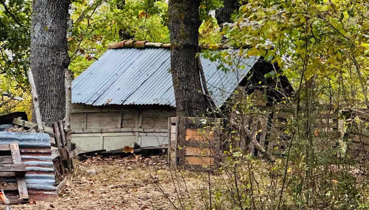 Famiglia nel bosco, per i giudici la casa è un "rudere" ma per il geometra le condizioni sono "discrete"