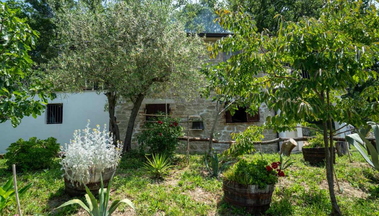 Famiglia nel bosco accetta un casolare gratis dall