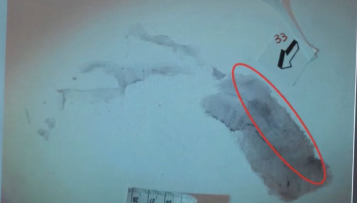 Garlasco, nella casa di Chiara Poggi sono state trovate 107 impronte: il nodo della numero 33 Garlasco, nella casa di Chiara Poggi sono state trovate 107 impronte: il nodo della numero 33