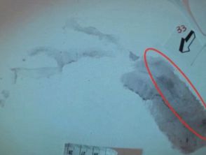 Garlasco, nella casa di Chiara Poggi sono state trovate 107 impronte: il nodo della numero 33