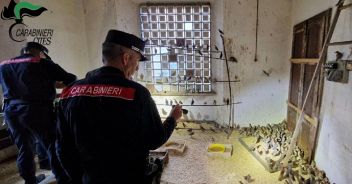 operazione-pettirosso