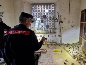 Lombardia e Veneto, 135 denunce per bracconaggio e sequestrati 2.400 uccelli: alcuni erano 